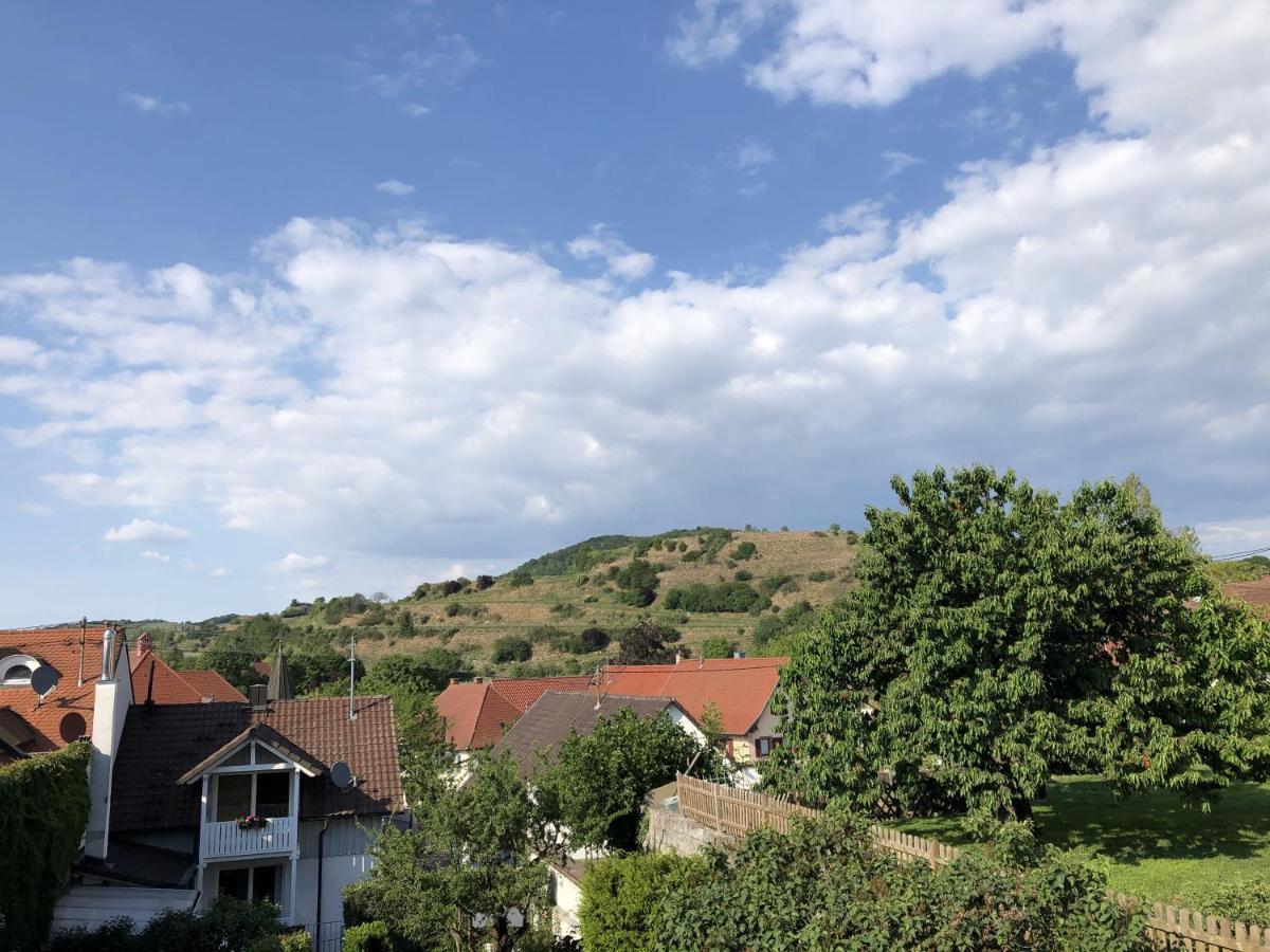 Ferienhaus Irene Vogtsburg Kültér fotó