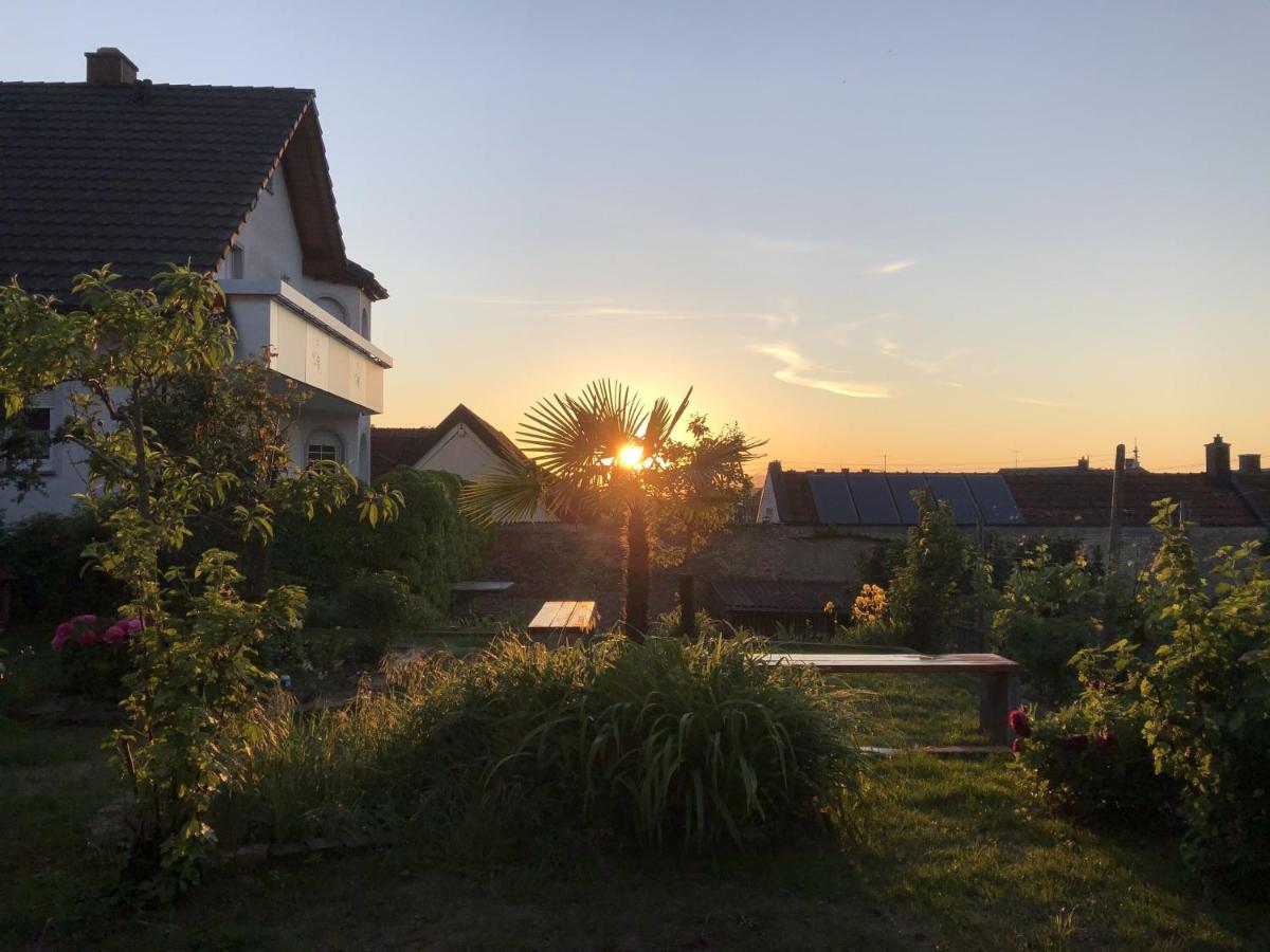 Ferienhaus Irene Vogtsburg Kültér fotó